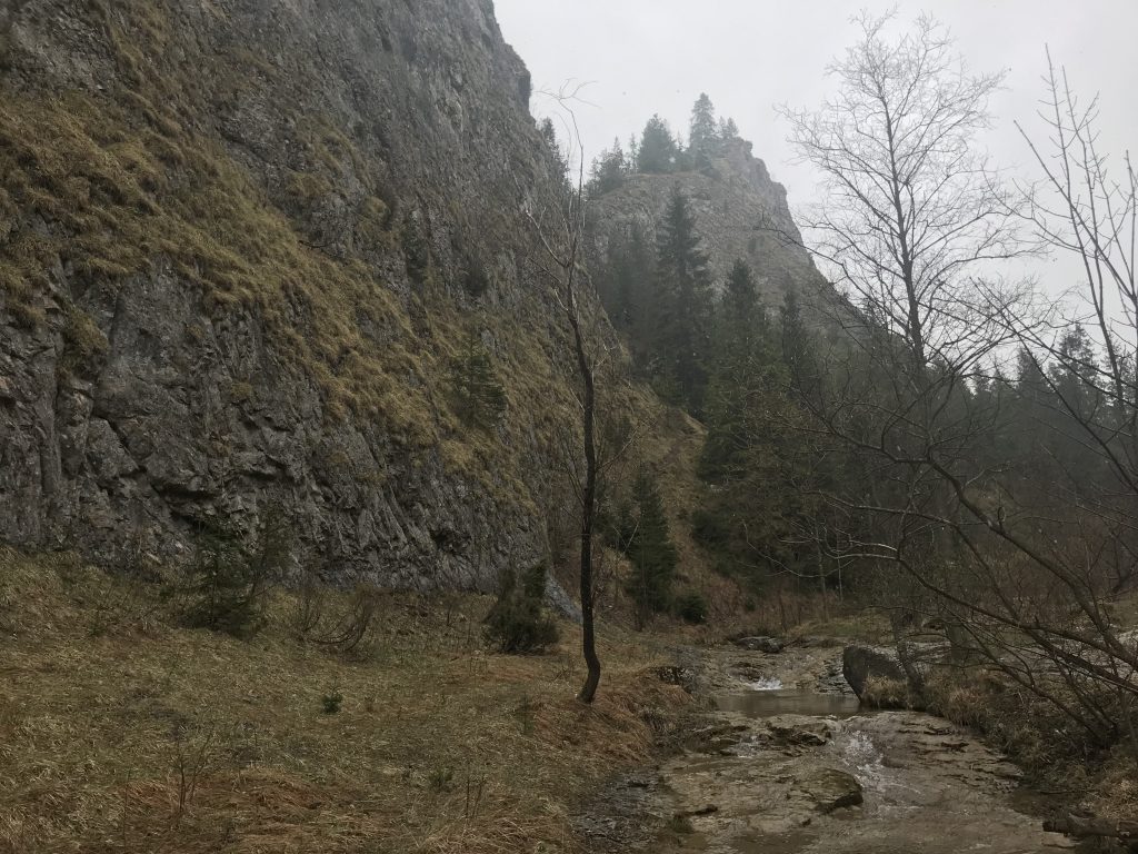 Gorge Homloe - Szczawnica, Poland