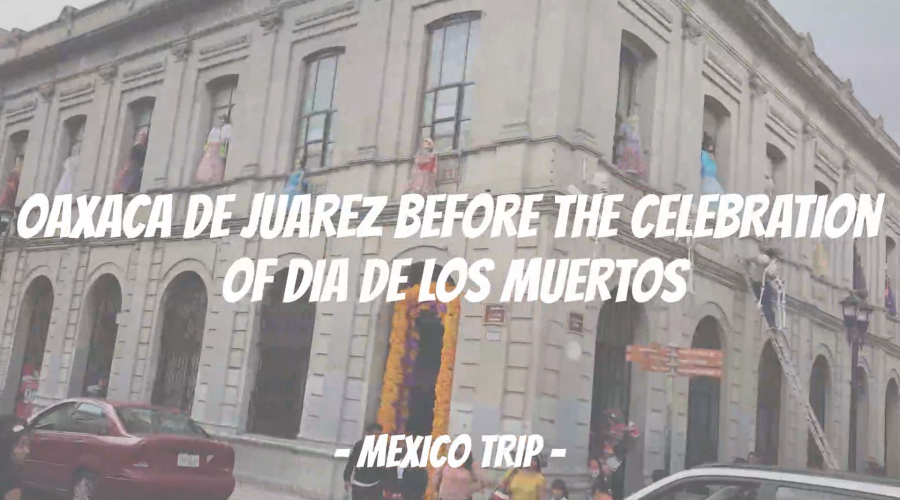 Oaxaca de Juarez before the celebration of Dia De Los Muertos | Mexico trip