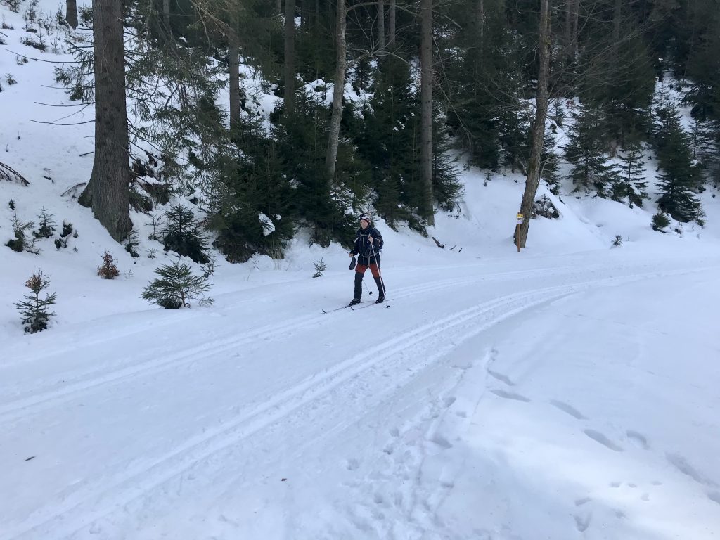 Cross-country ski | Bielice, Poland