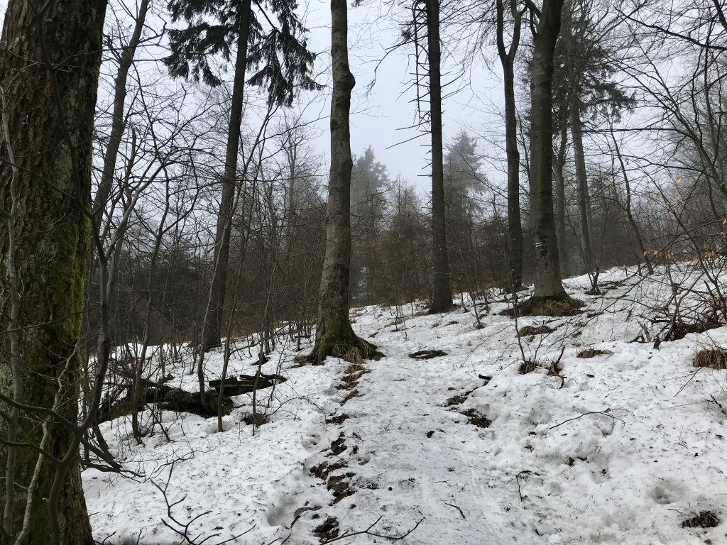 Hiking in Chełmiec and Trójgarb | Wałbrzyskie mountains