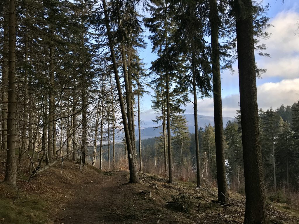 Hiking in Chełmiec and Trójgarb | Wałbrzyskie mountains